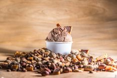 la revolucion del helado