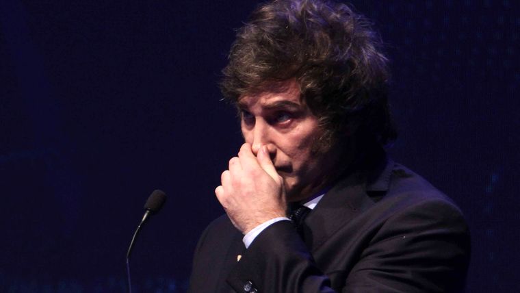 Javier Milei habló sobre su relación con Fátima Florez Foto: Télam