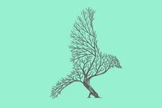 Test de personalidad