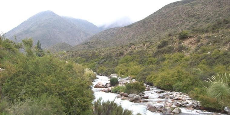 Arroyo en El Manzano.
