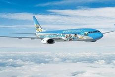 aeronavegantes arrancan plan de lucha que afectara vuelos de aerolineas y austral