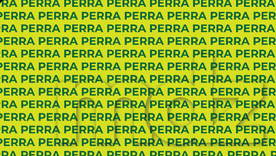 Este acertijo visual no solo entretetine, sino también entrena la visión ocular. Este acertijo visual no solo entretetine, sino también entrena la visión ocular.