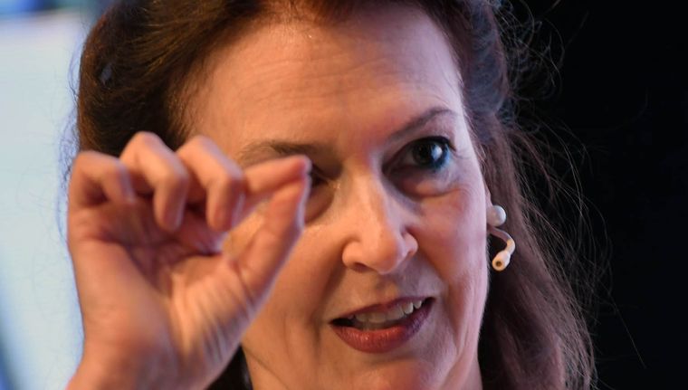 La canciller Diana Mondino irá a la Cámara de Senadores el próximo martes Foto: NA