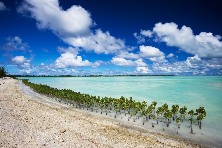 Este país se encuentra en Oceania. Foto: Shutterstock