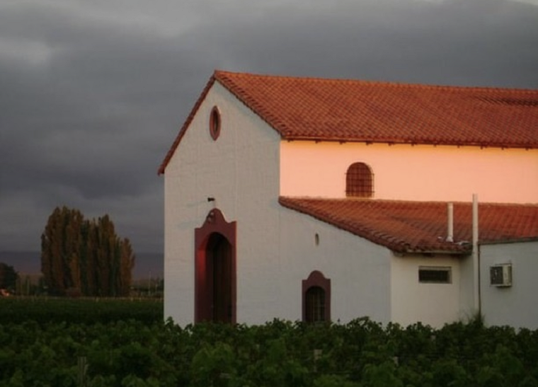 Alegría para Bodega Familia Cassone. Foto: Gentileza