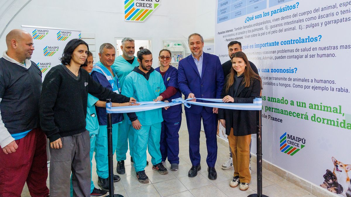 ¡Buenas Noticias para Mascotas en Maipú! Nuevo Centro Veterinario sin Turno Ofrece Atención Integral y Servicios Esenciales