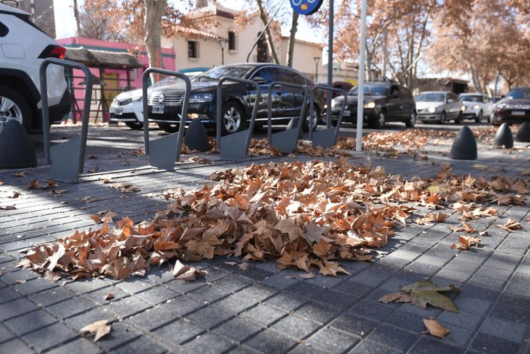 Foto: Rodrigo DAngelo / MDZ