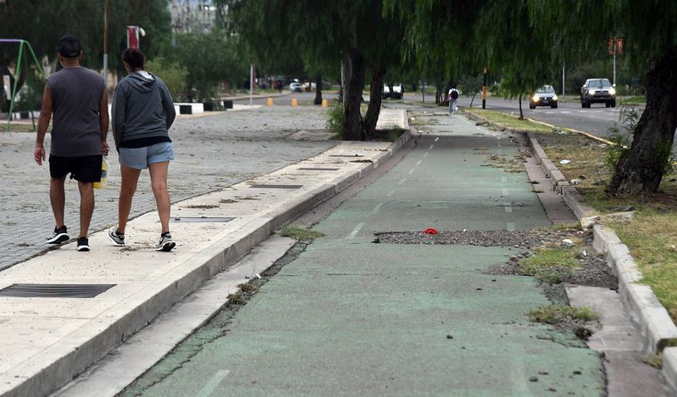 Usuarios advierten sobre baches, pozos y sectores sin mantenimiento en ciclovías que son clave para la movilidad diaria en Mendoza.