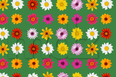 Estos ejercicios se presentan como una forma entretenida de mejorar la agilidad mental y disfrutar del tiempo libre Foto: Archivo MDZ