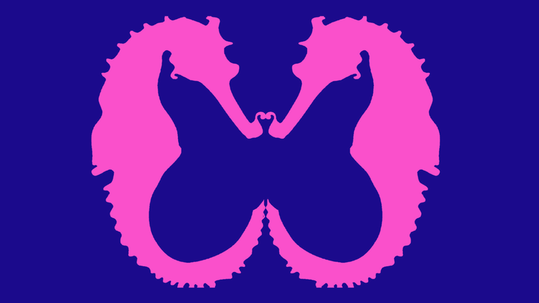 test de personalidad