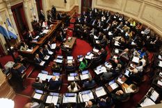 El Senado avanza con el proyecto de movilidad jubilatoria que logró media sanción en Diputados. Foto: NA