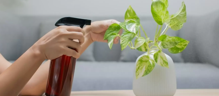 El vinagre ofrece una solución integral para el cuidado del jardín. Conocé los detalles dentro de la nota Foto: Craftología