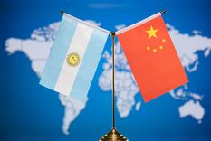 Crecen exportaciones de trigo de Argentina hacia China con un embarque descomunal como no sucedía desde los años 90.