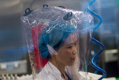 cientifica china que estudia el coronavirus advierte: es solo la punta del iceberg