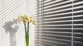 Así puedes limpiar la persiana de la casa Foto: Pixabay Así puedes limpiar la persiana de la casa Foto: Pixabay