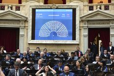 La sesión volvió a caerse. Foto: X (@DiputadosAR)