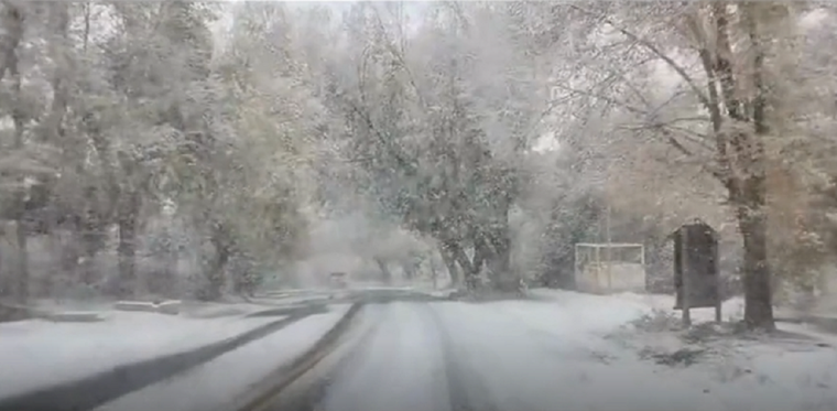 Foto: captura de video