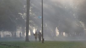 Según el SMN, será una madrugada ventosa en varias zonas de la provincia. Según el SMN, será una madrugada ventosa en varias zonas de la provincia.