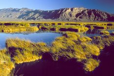 Cuatro Ciénegas, el pueblo mágico de Coahuila, fue elegido por la ONU como uno de los destinos rurales más lindos y sostenibles del mundo en 2024.