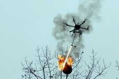 solo en china: un dron lanzallamas incinera nidos de avispas solo en china: un dron lanzallamas incinera nidos de avispas