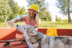 Las mascotas también sufren la ola de calor extremo Foto: Pexels