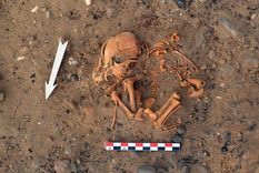 Entierro de un perro de aproximadamente entre 1100-500 años de antigüedad recuperado en el sitio arqueológico Huaca Amarilla (Perú).