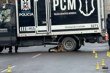 X: @MailenSanchez5 X: @MailenSanchez5