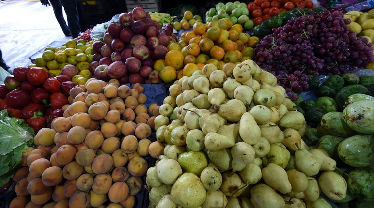 Foto: ALF PONCE / MDZ