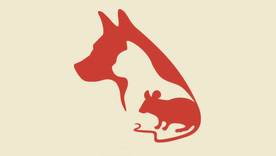 test de personalidad test de personalidad