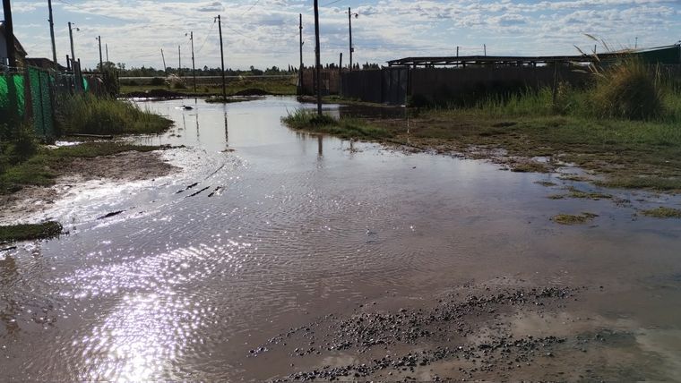 Un barrio de Maipú quedó bajo el agua por la crecida del río Mendoza Foto: X Matías Pascualetti