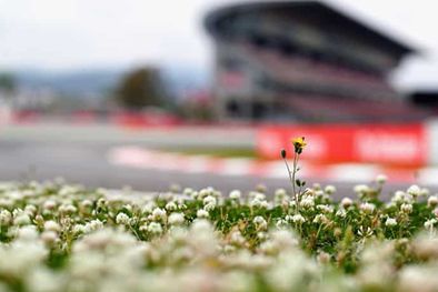 MDZol | Foto: https://www.formulaf1.es/