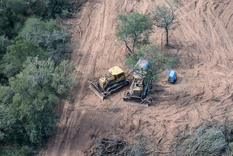 Desmonte Salta 2024 Foto: Martin Katz / Greenpeace