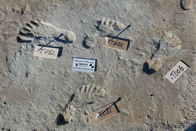 MDZol | Las huellas pertenecen a niños y adolescentes que vivieron hace al menos 21.000 años. Foto: BOURNEMOUTH UNIVERSITY