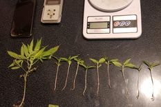 Equipados Los dealers tenían elementos típicos de quien vende estupefacientes. Foto: Ministerio de Seguridad.