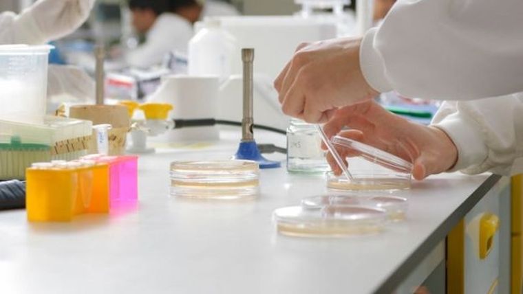 Hoy se hicieron 94 determinaciones en total en el sur. Foto: GETTY IMAGES