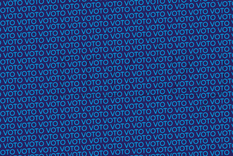 ACERTIJO VISUAL ACERTIJO VISUAL, RETO VISUAL, PALABRA Foto: MDZ ONLINE