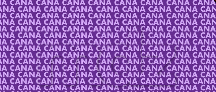 El acertijo visual es no solo es divertido, sino que también pone a prueba tu nivel de observación Foto: Archivo MDZ