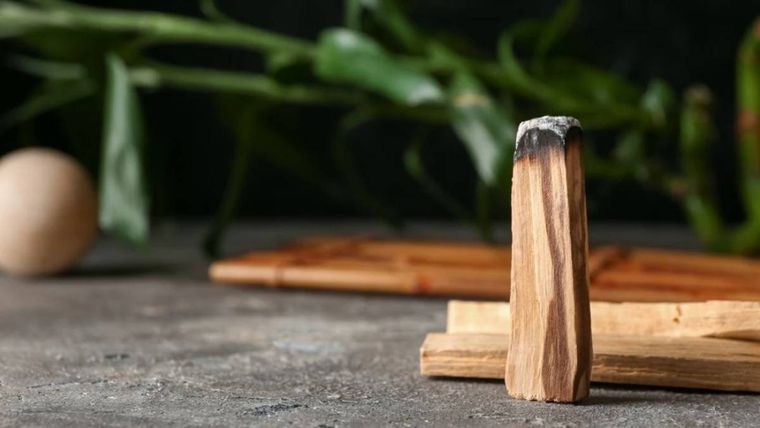 Un palo santo Un palo santo