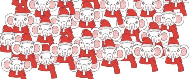 ACERTIJO VISUAL ACERTIJO VISUAL, RETO VISUAL, ELEFANTE Foto: ARCHIVO