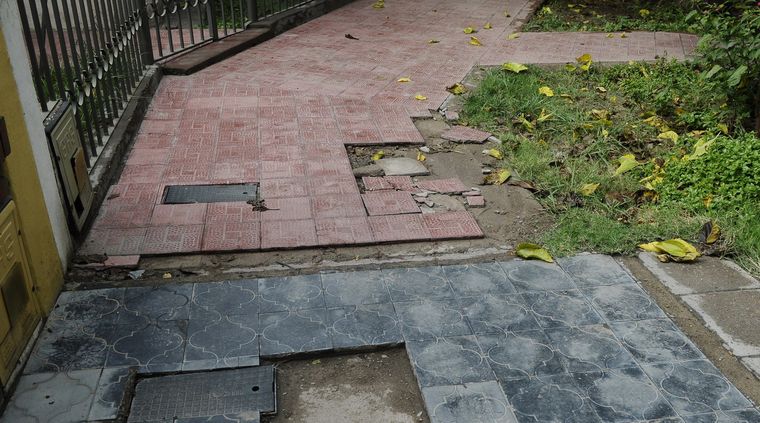 Foto: Alf Ponce / MDZ