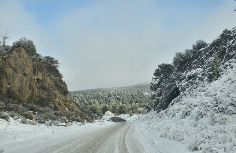 En Villa Pehuenia, el pueblo se transforma en una postal invernal única. En Villa Pehuenia, el pueblo se transforma en una postal invernal única.
