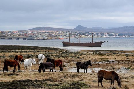 Whalebone Cove, en las islas Malvinas/Falklands. Whalebone Cove, en las islas Malvinas/Falklands.