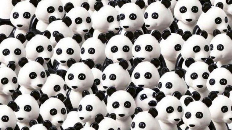 ACERTIJO VISUAL ACERTIJO VISUAL, RETO VISUAL, PERRO Foto: ARCHIVO