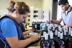 balance positivo para las exportaciones de la vitivinicultura mendocina