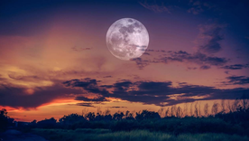 Este sábado, 24 de febrero, recibiremos a la segunda Luna Llena del año y brillará bajo el signo de Virgo Foto: Pixabay