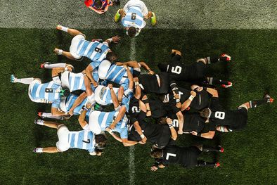 MDZol | Foto: @lospumas