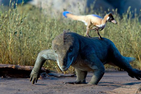 El hallazgo en Río Negro replantea el origen y la evolución corporal de los alvarezsauroideos. El hallazgo en Río Negro replantea el origen y la evolución corporal de los alvarezsauroideos.