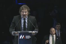 El Senado le encestó un duro golpe a Javier Milei.