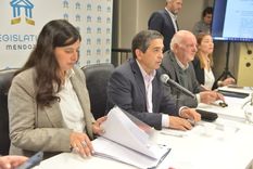 El Senado avanzó con el despacho de la reforma constitucional.&nbsp;