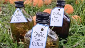 La caña con ruda contra el mal ayuda, asegura la creencia popular.